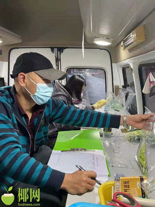 春節期間,?？跈z查各類市場主體1800余家次